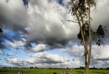 提高数学成绩10个方法，提升数学成绩最有效的方法